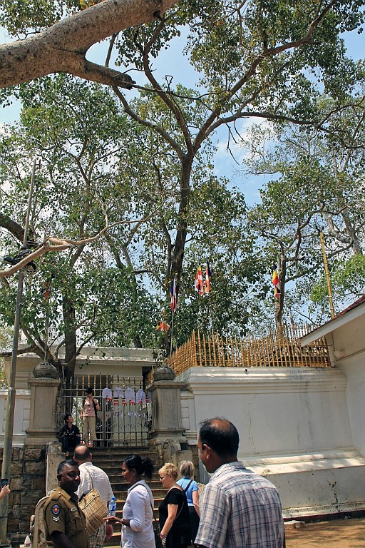 SriLan (160).jpg